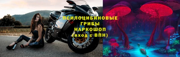 соль ск Абаза