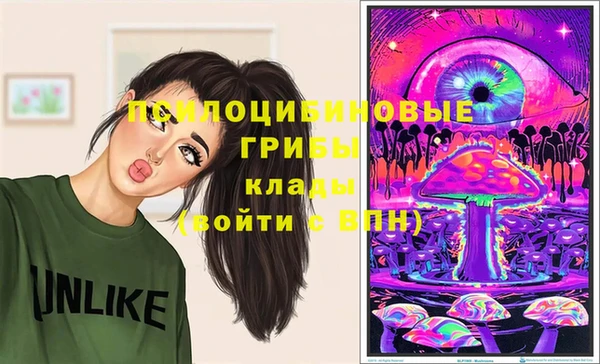 герыч Алексин