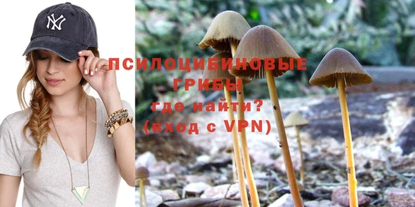 сатива Алзамай