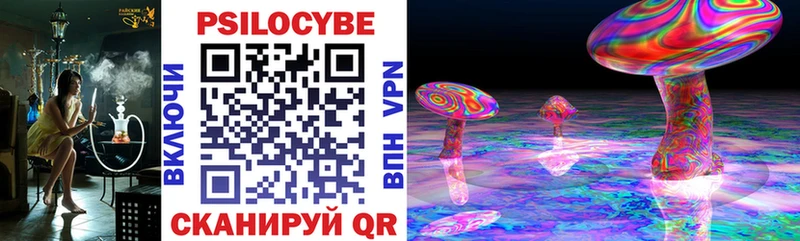 Галлюциногенные грибы мицелий  где купить   Трубчевск 